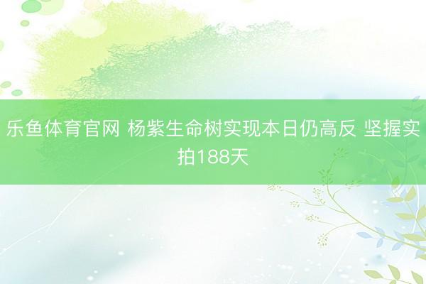 乐鱼体育官网 杨紫生命树实现本日仍高反 坚握实拍188天