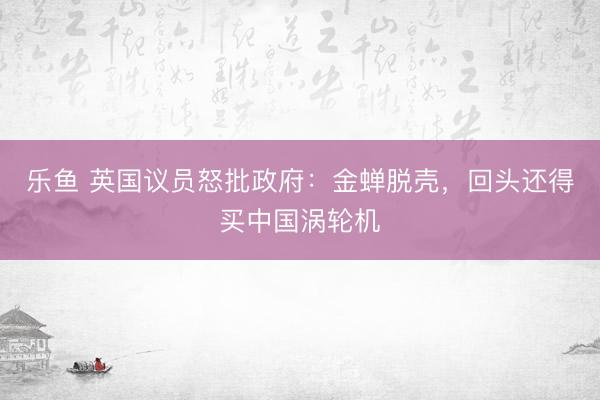 乐鱼 英国议员怒批政府：金蝉脱壳，回头还得买中国涡轮机
