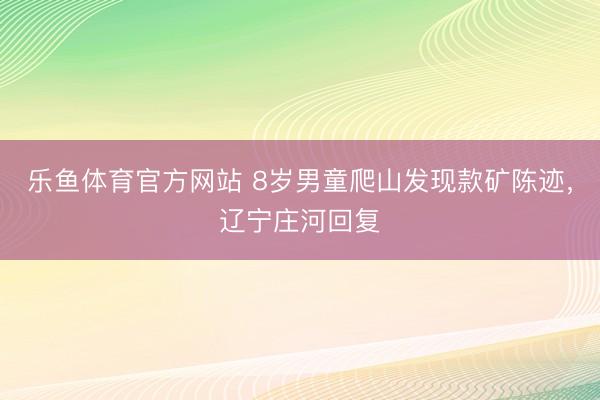 乐鱼体育官方网站 8岁男童爬山发现款矿陈迹，辽宁庄河回复
