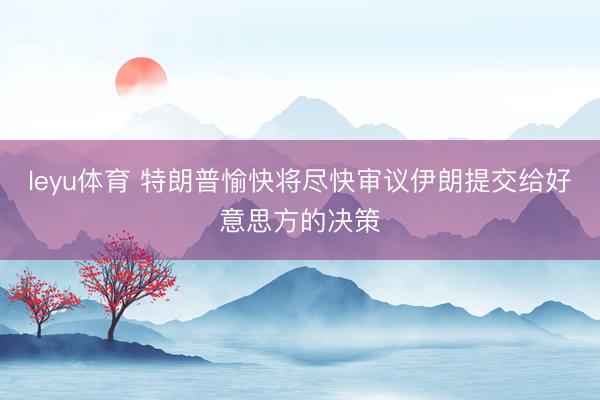 leyu体育 特朗普愉快将尽快审议伊朗提交给好意思方的决策